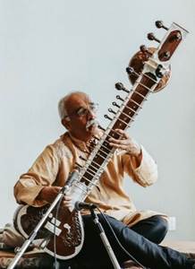 A person playing a sitar

Description automatically generated